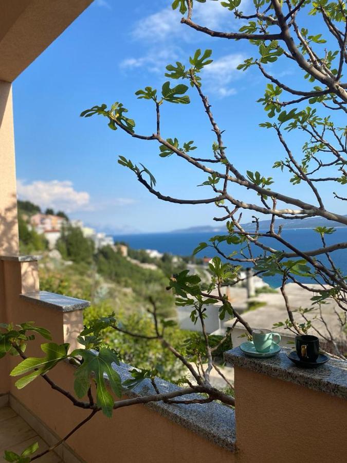 Panorama Apartment Jakov Omis Bagian luar foto